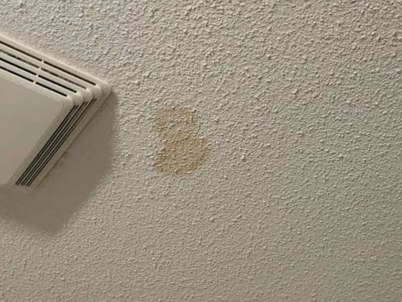 Photo of the water stain on the ceiling